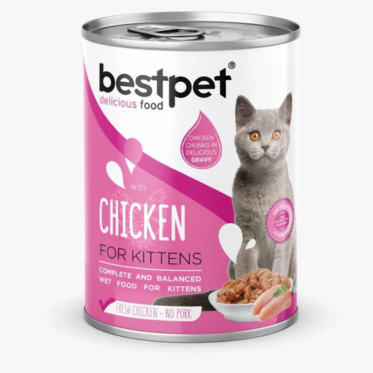 bestpet - CHICKIN- KITTENS