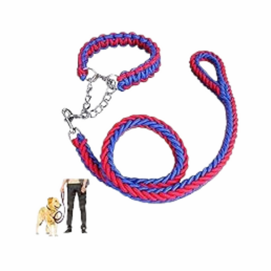 dog chain