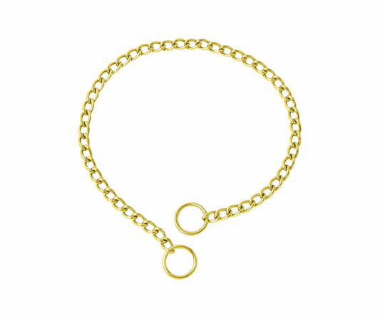 Chain Dog Training Choke Collar