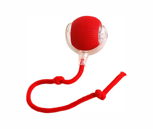 Flashing Ball Cat and dog Toys