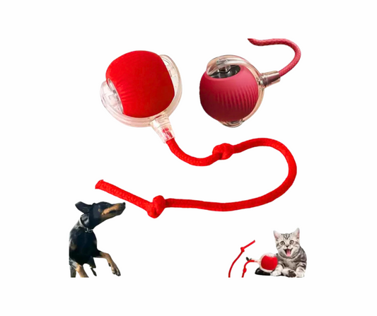 Flashing Ball Cat and dog Toys