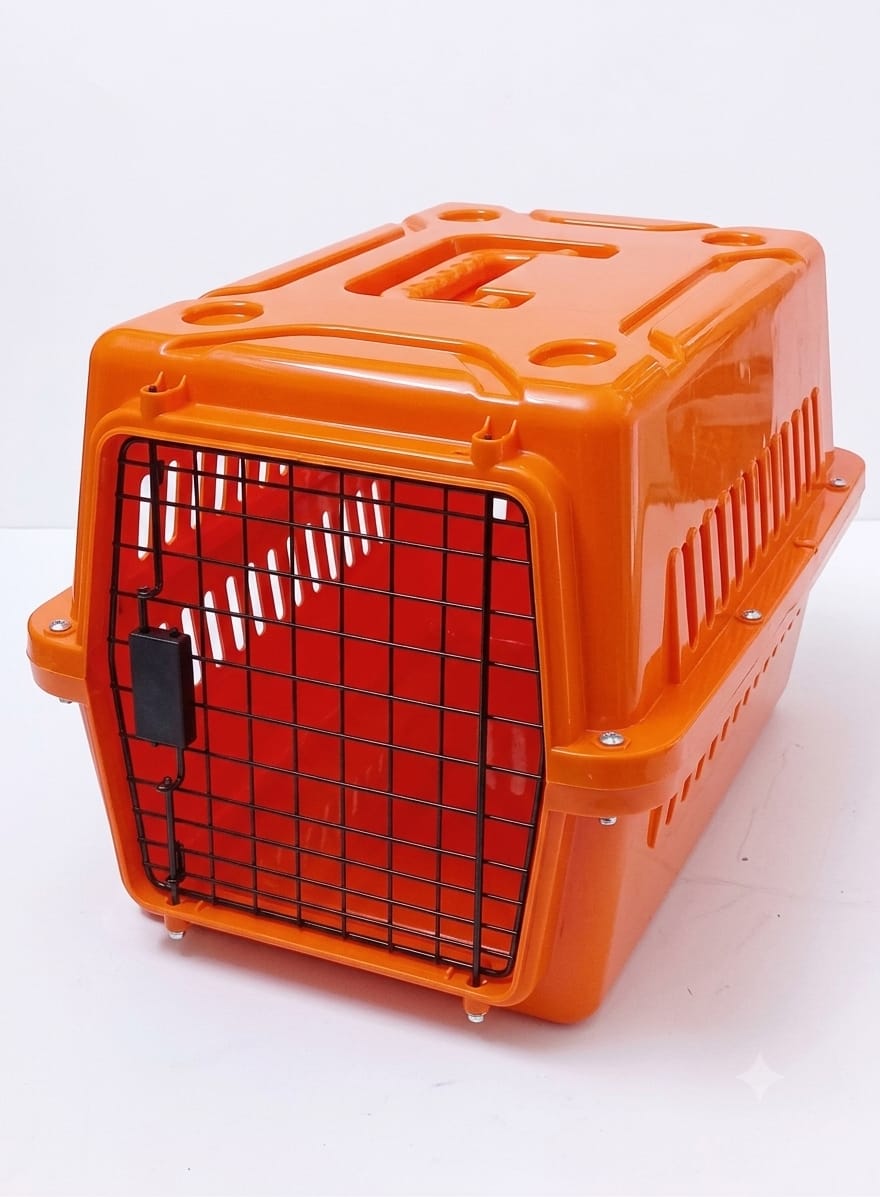 colorful cat box
