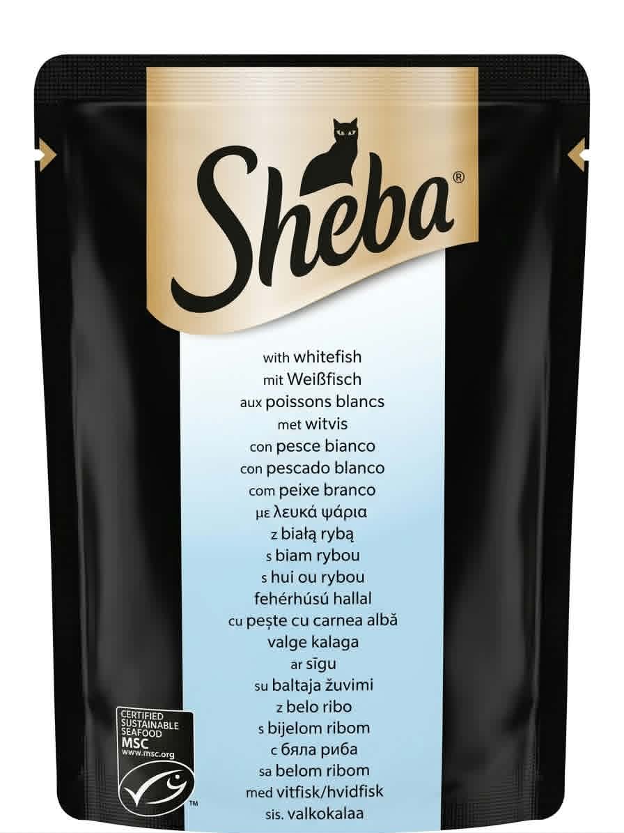 sheba fish