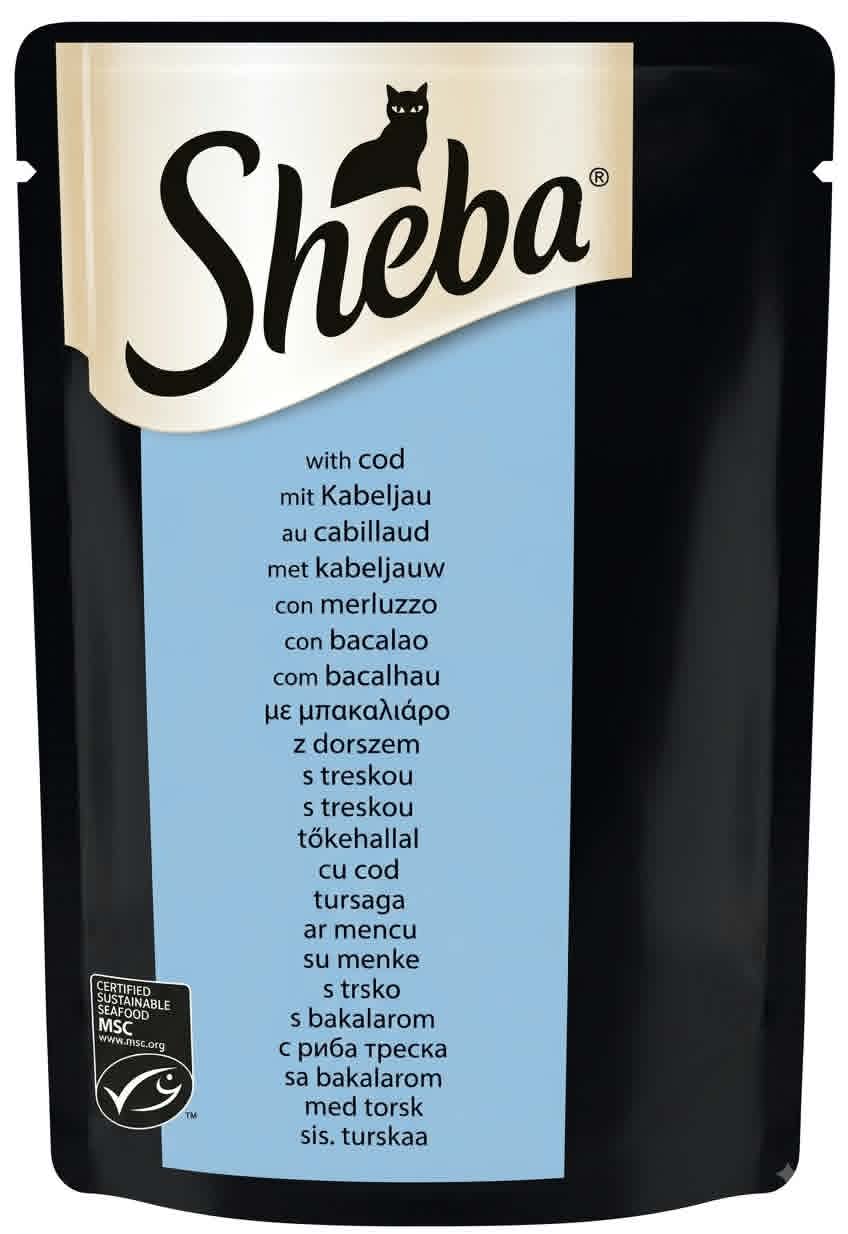 sheba kabeljau