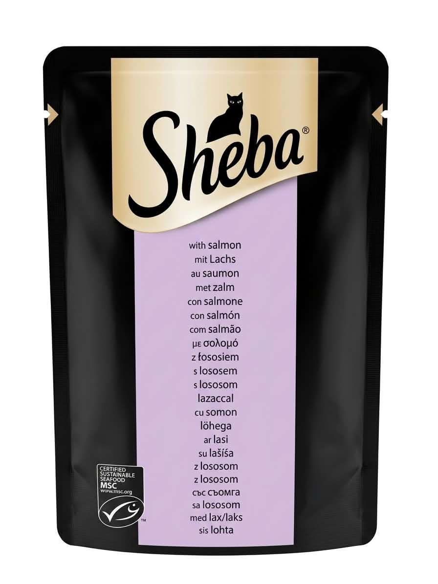 sheba salmon mit lachs