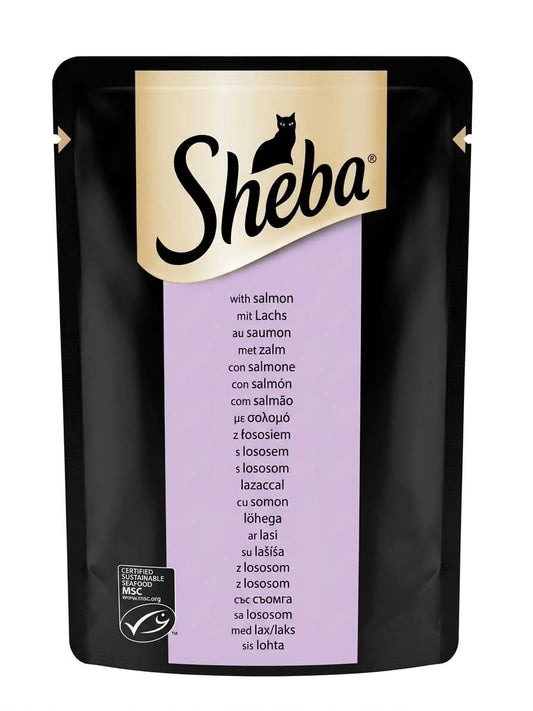 sheba salmon mit lachs