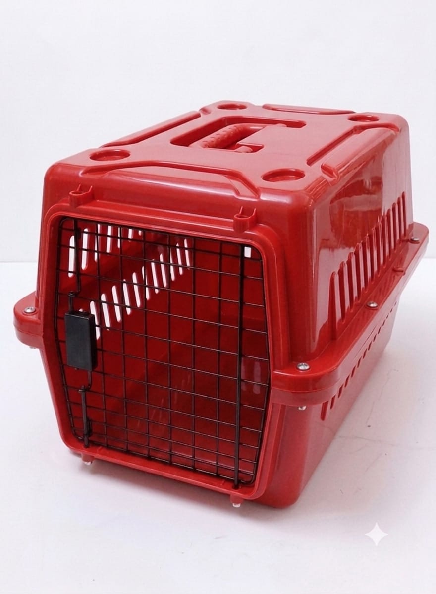 colorful cat box