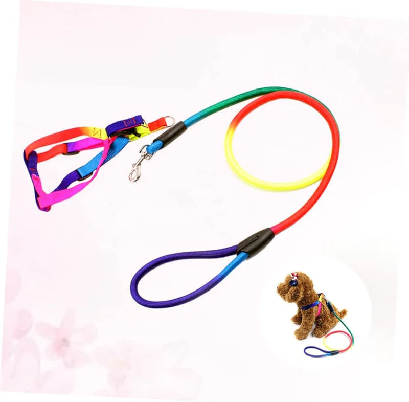 Pet Harness and Leash