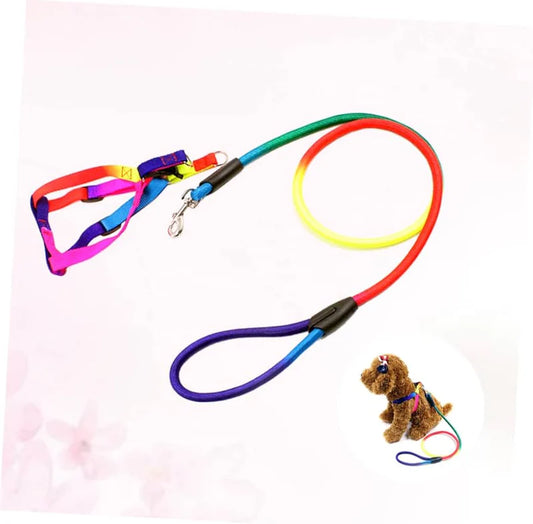Pet Harness and Leash