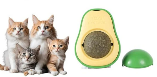catnip avocato