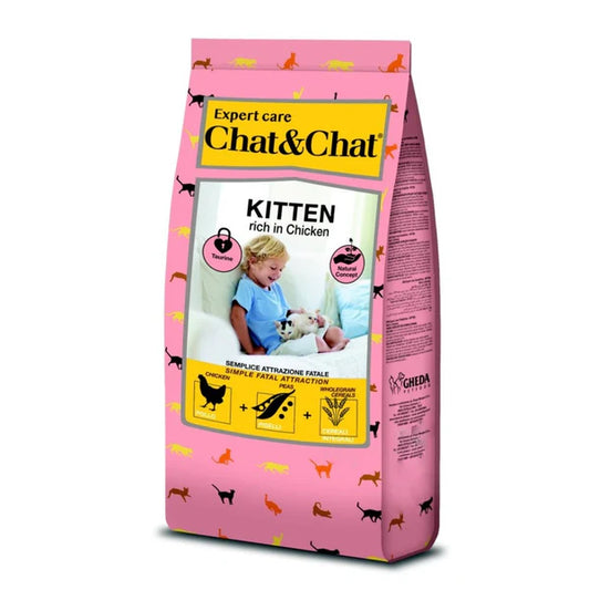 Chat & Chat Kitten