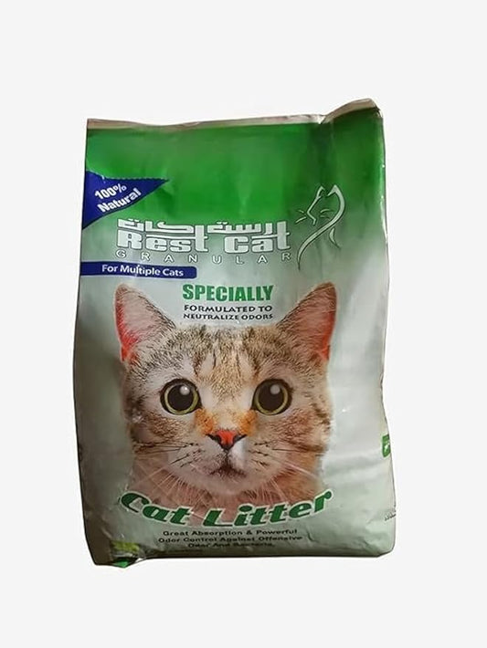 Rest Cat green
