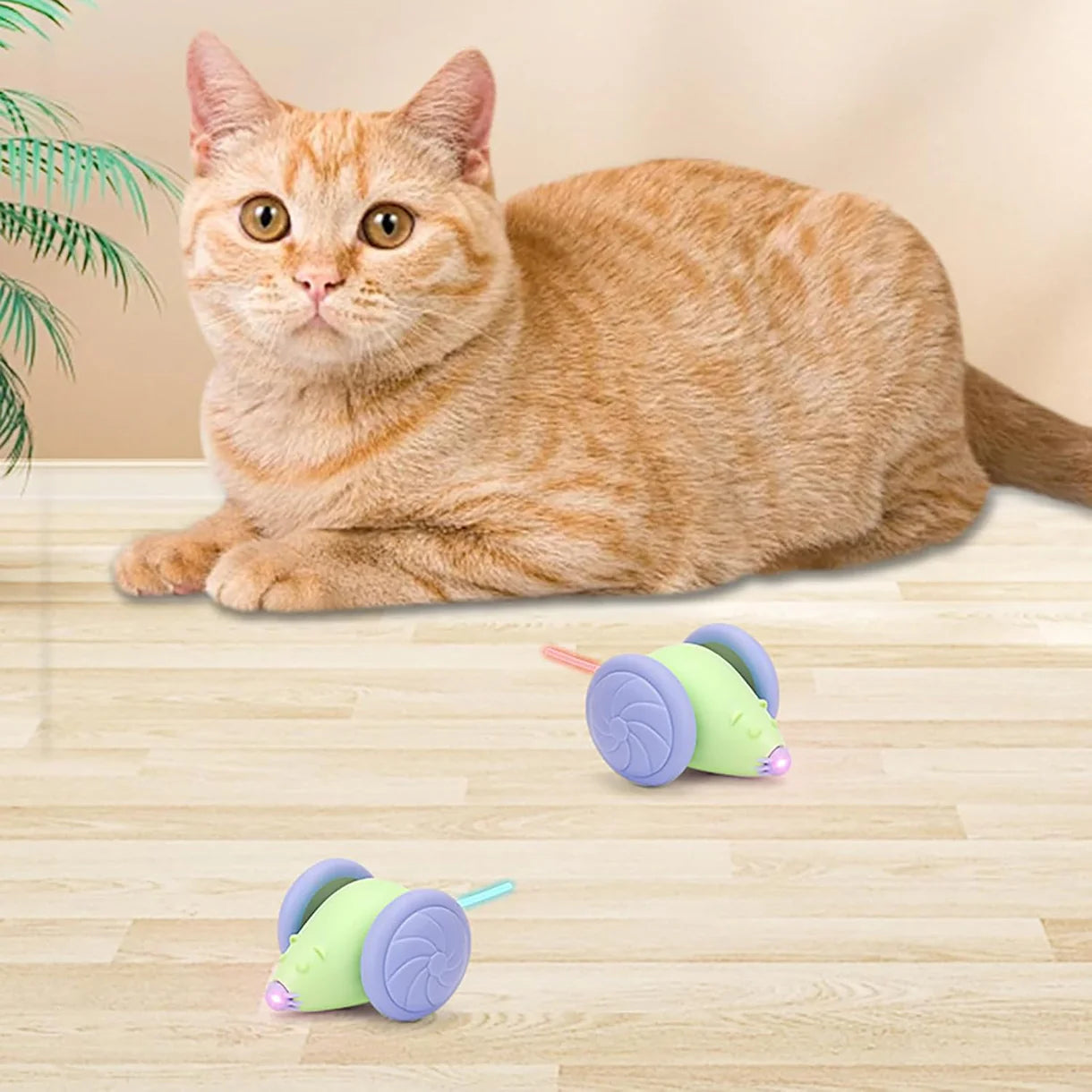 Cats Teaser Toy Motion Activates Interactively Cats Toy Light Up Electric Toy for Indoor Playing