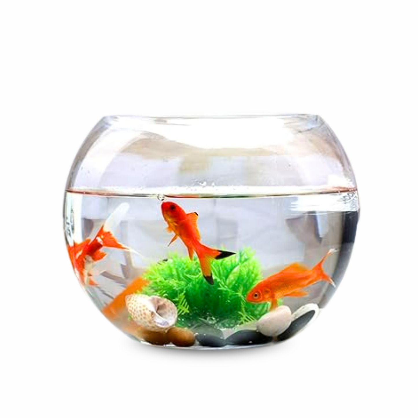 crystallize a fish tank