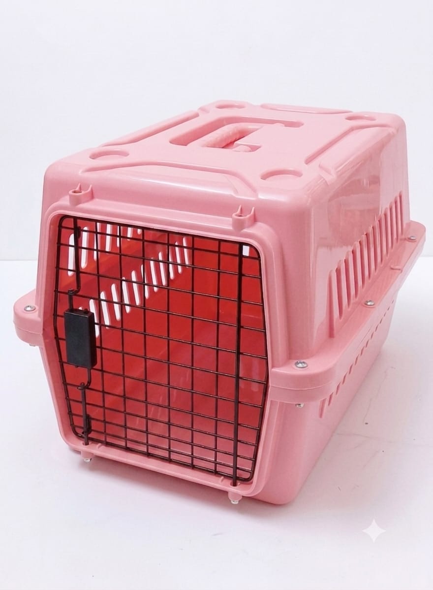 colorful cat box