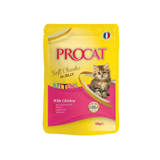 Procat Kitten