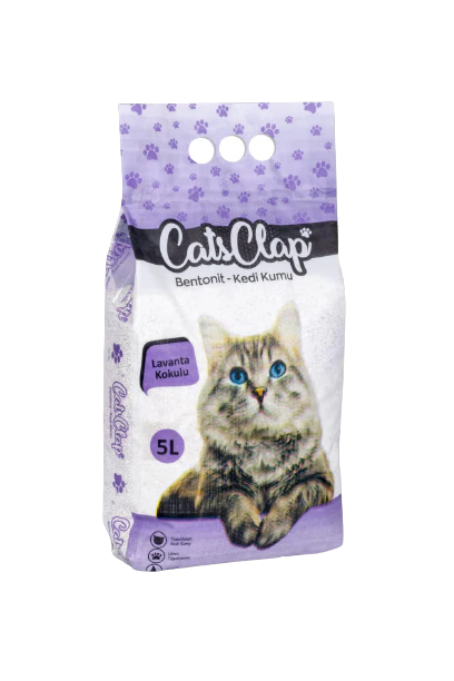 cat clap