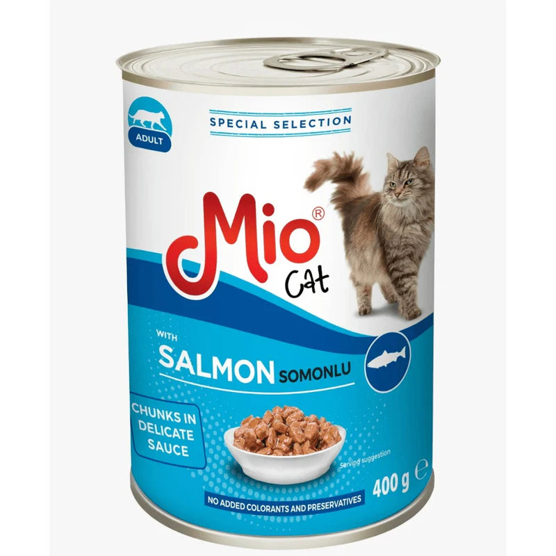 mio cat with salmon