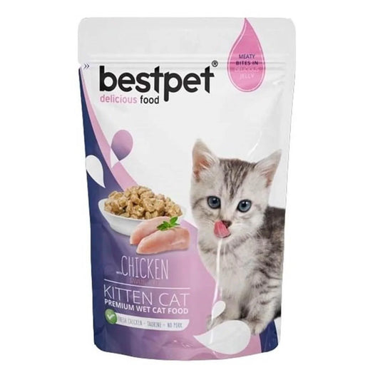 best bet kitten