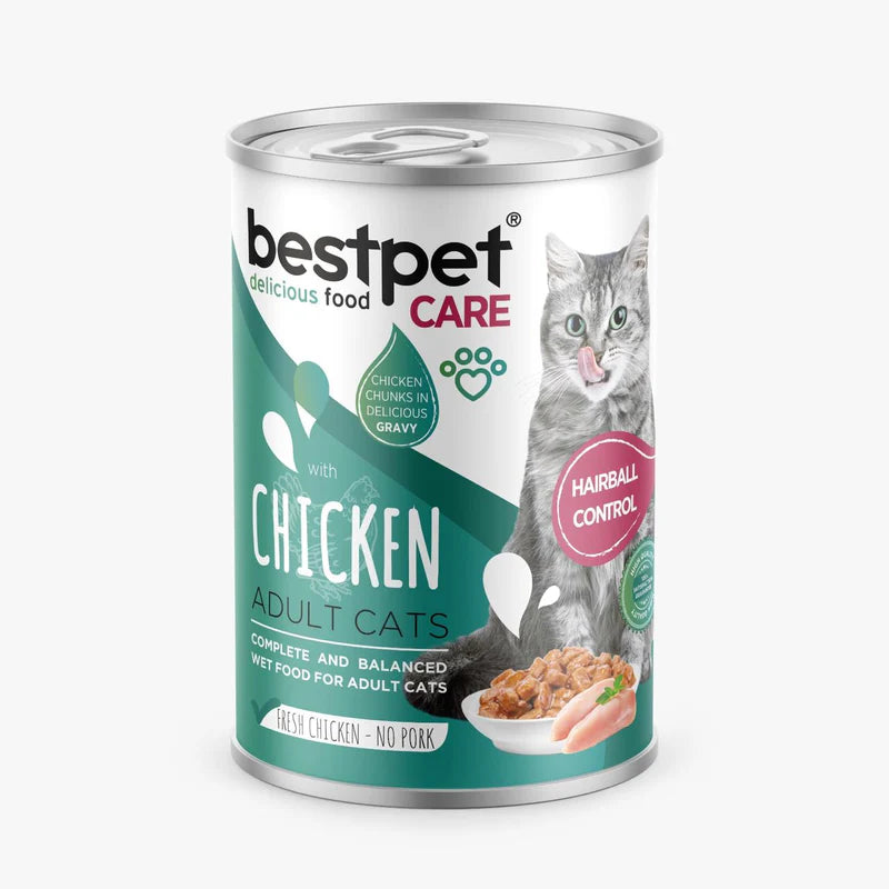 Best Pet Cat Chicken