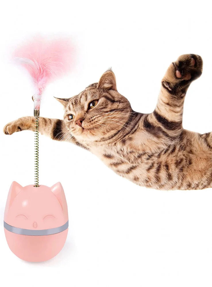 cat feather with bell