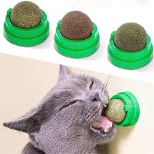 cat nip