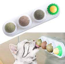 cat nip